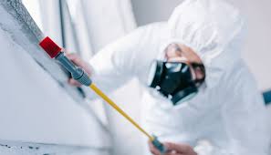 Best Pest Exclusion Services  in Golden Triangle, NJ